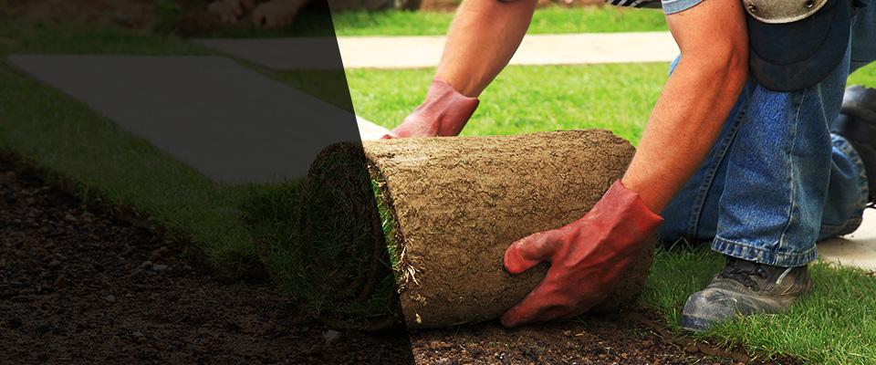 Arkadelphia Landscapers